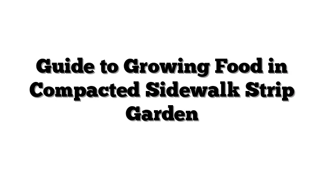 Guide to Growing Food in Compacted Sidewalk Strip Garden