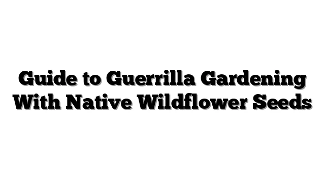 Guide to Guerrilla Gardening With Native Wildflower Seeds