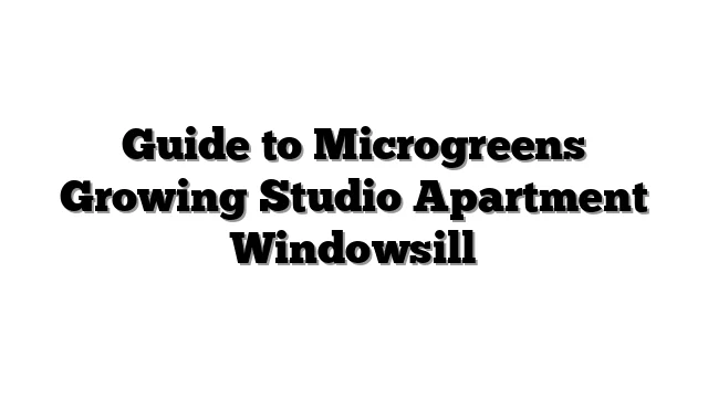 Guide to Microgreens Growing Studio Apartment Windowsill
