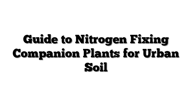 Guide to Nitrogen Fixing Companion Plants for Urban Soil