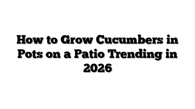 How to Grow Cucumbers in Pots on a Patio Trending in 2026