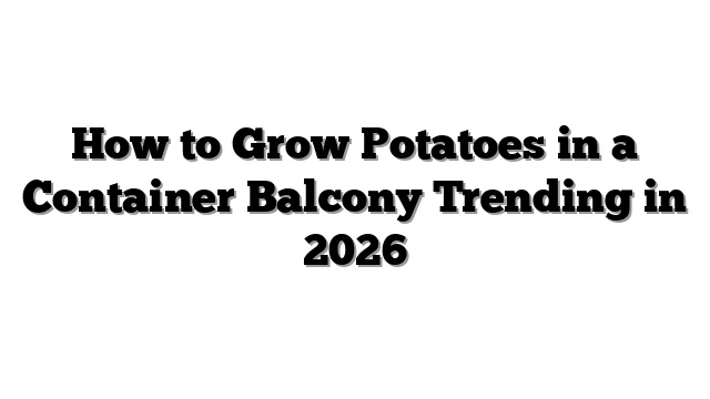 How to Grow Potatoes in a Container Balcony Trending in 2026