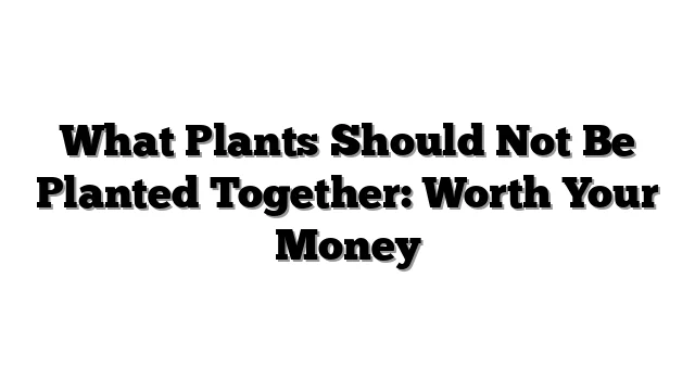 What Plants Should Not Be Planted Together: Worth Your Money