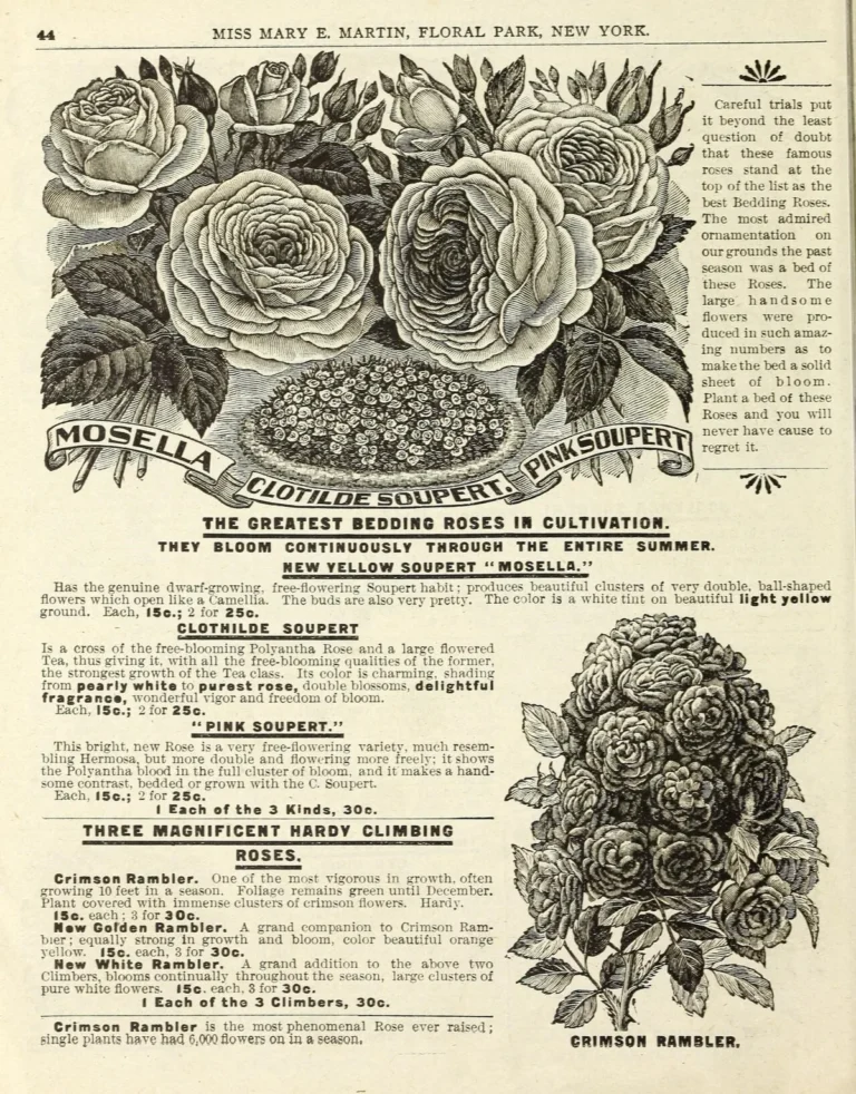 companion planting for raised bed vegetable gardens