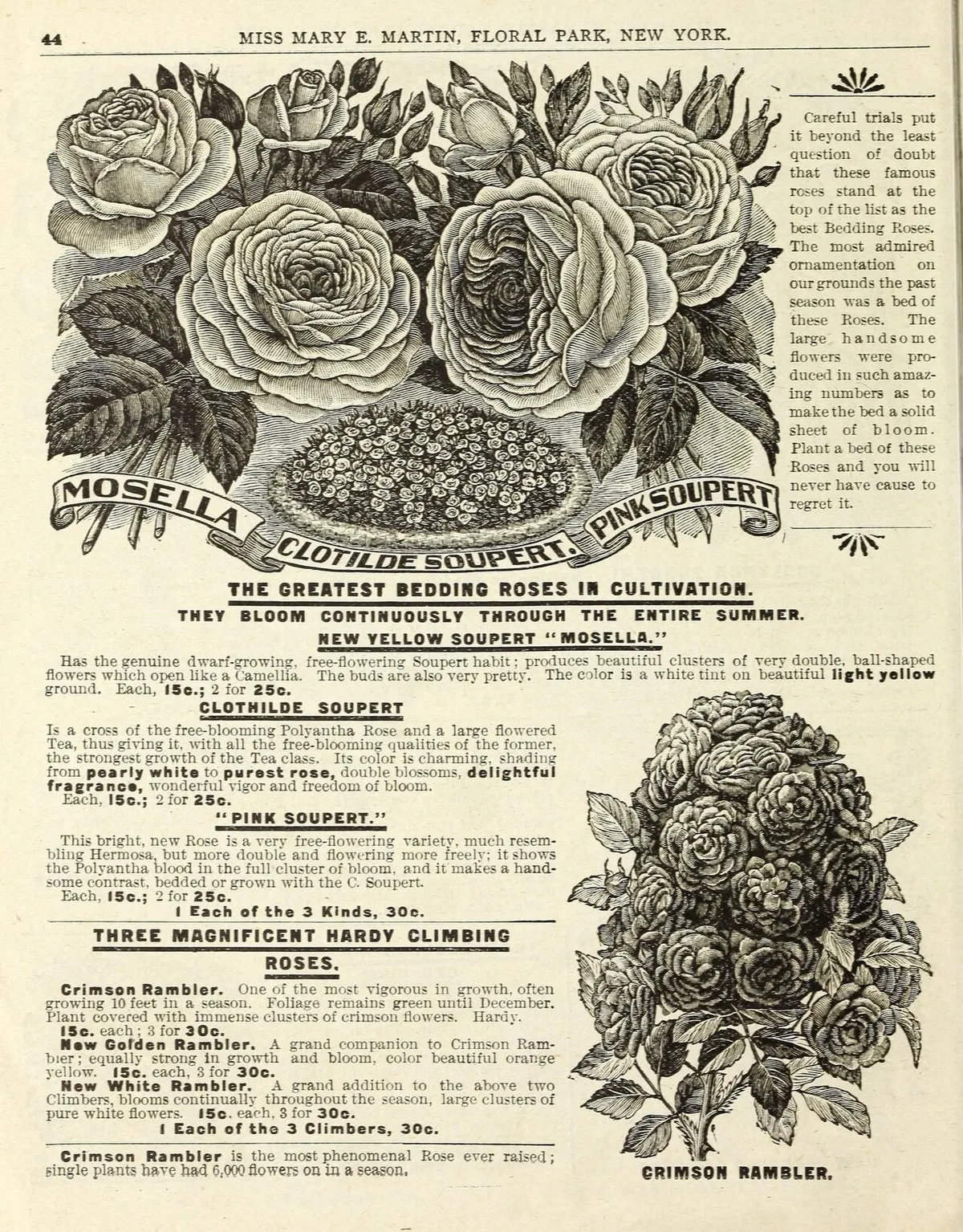companion planting for raised bed vegetable gardens