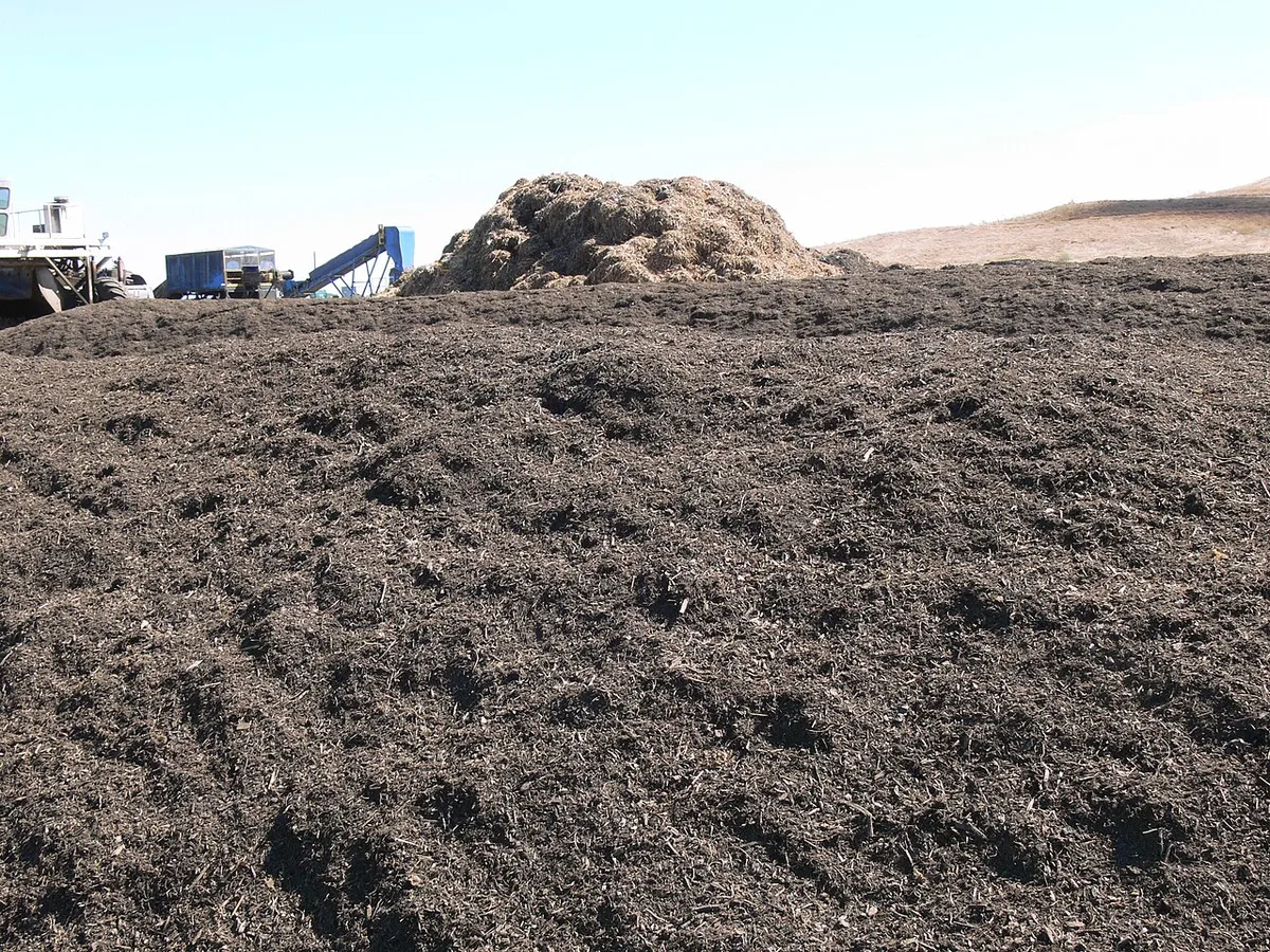compost pile