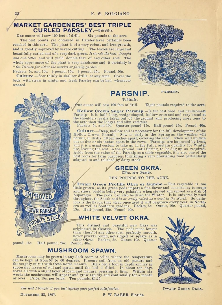 no dig regenerative garden method for beginners